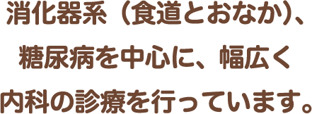 消化器系（食道とおなか）、糖尿病を中心に、幅広く内科の診療を行っています。